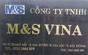 Công Ty TNHH M&S Vina